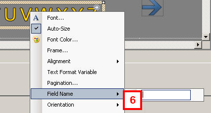 dsw-livedata-quick-index-field