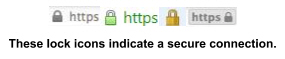 Screen shot of lock icons for Firefox, Chrome, IE and Safari