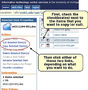 Screenshot of checkbox and Cut and Copy links