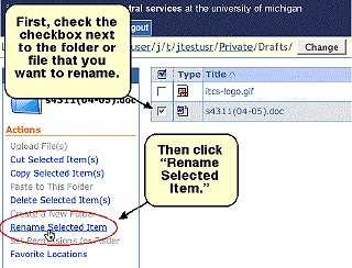 Screenshot of checkbox and Rename Selected Item link