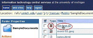 Screenshot of File Type icon