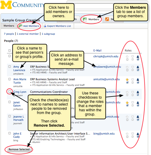 Screenshot of the member information displayed underneath the Members tab.