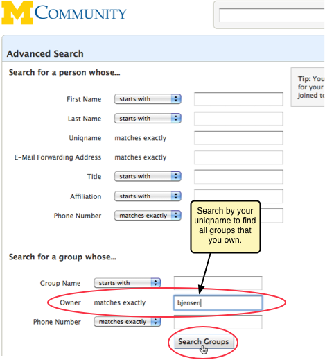Screenshot of searching for all groups owned by a particular uniqname.