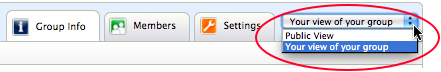 Screenshot of the menu that lets you toggle between the public view of your group's profile and your view as owner.