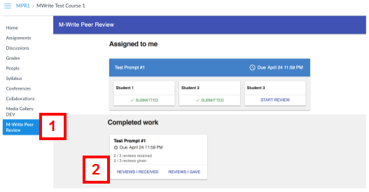 canvas - m-write peer review tab