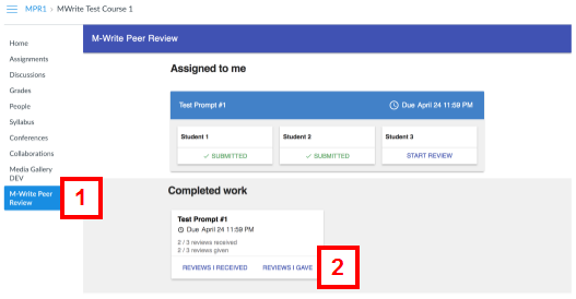 canvas - m-write peer review tab