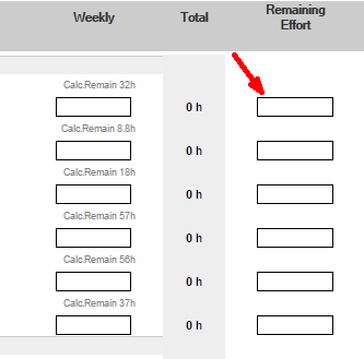 remaining effort field