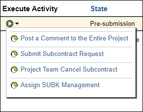 screenshot of eRPM PAF Workspace Subcontracts Tab Execute Activity widget