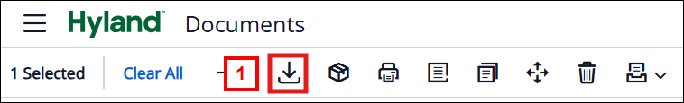 Downloading Documents from Hyland screenshot
