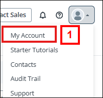 My Account drop-down option