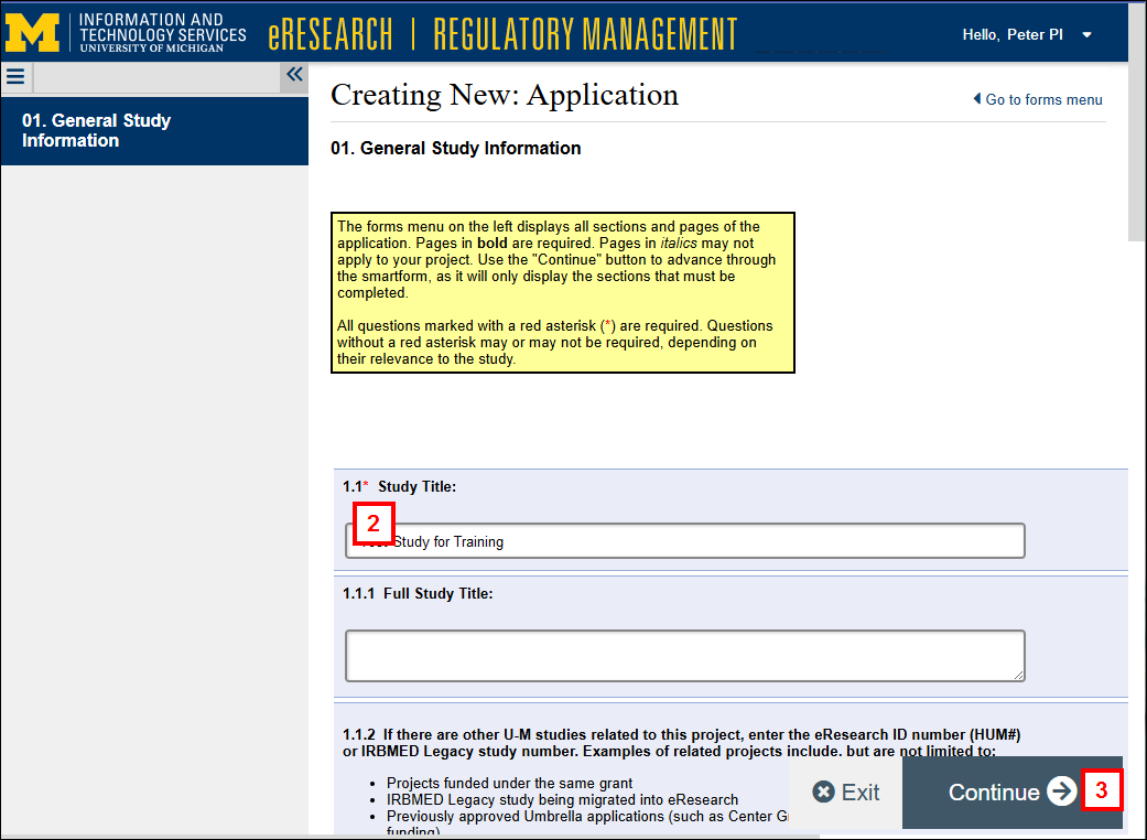 Creating a New Application page