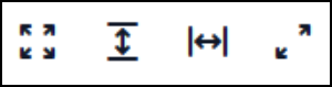 Zoom option icons