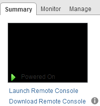 On the summary tab of the Virtual Machine Object, select Launch Remote Console