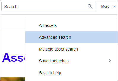 screenshot of advanced search options
