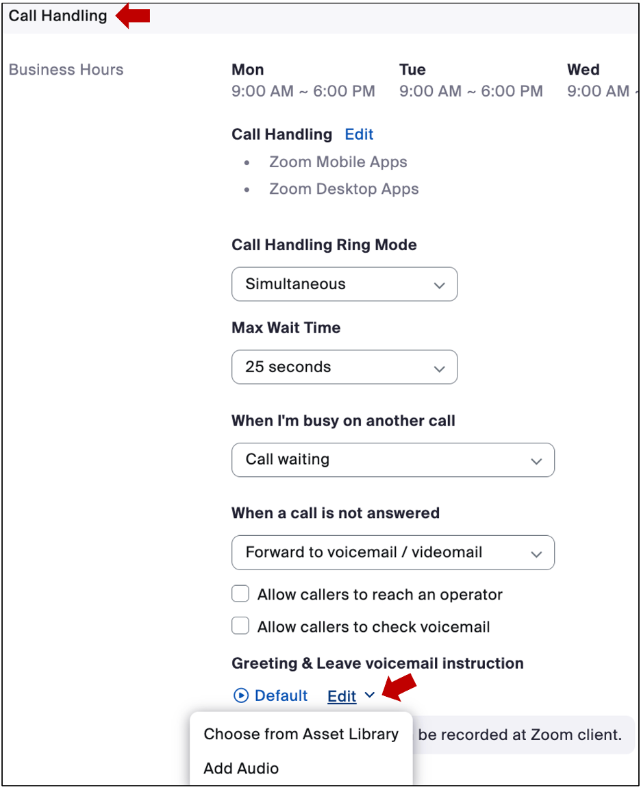 screenshot showing Call Handling-add audio