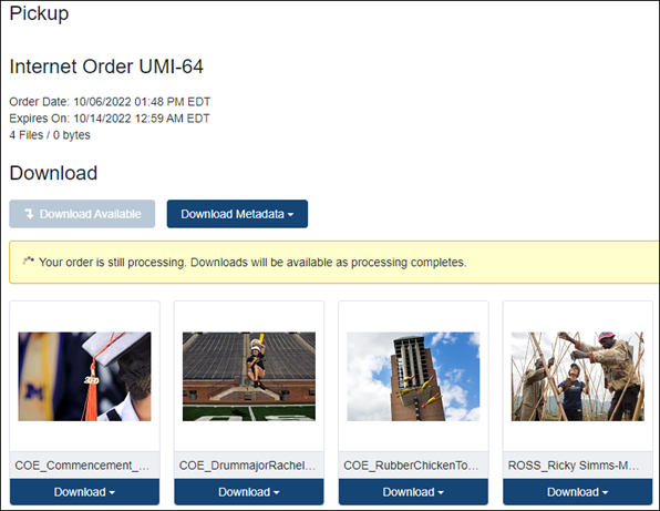 screenshot showing an download order 