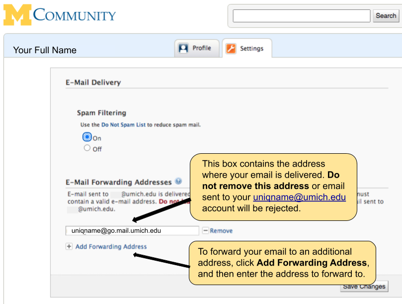 Screenshot of Add Forwarding Address link.