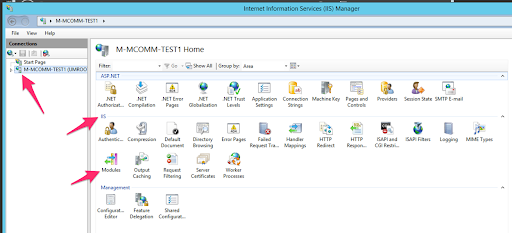 IIS Manager Application with Cosign Module