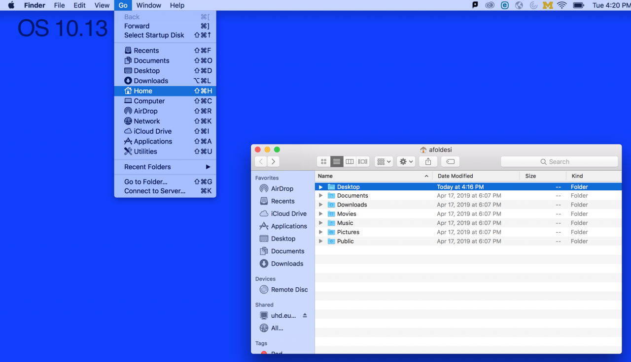 Screenshot of Mac File Structure including Go/Home/uniqname