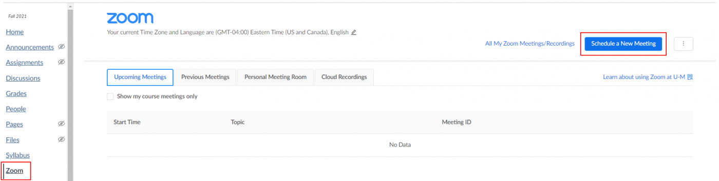 Zoom in Canvas, red box around Schedule a New Meeting button and Zoom in the Canvas course navigation
