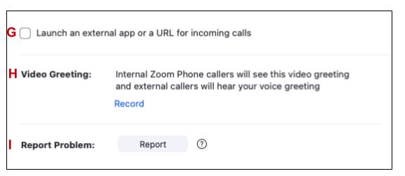 Zoom Phone Settings Desktop App Part 2